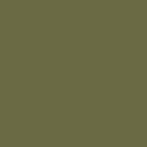 Kleur Olijfgroen
