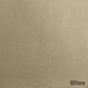 Kleur Olive